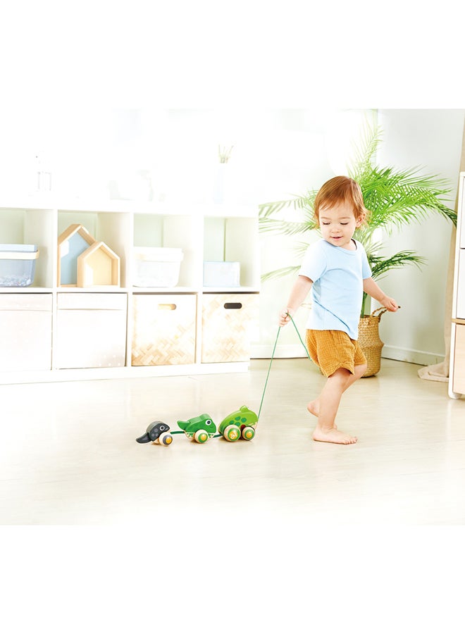 Wooden Frog Themed Push And Pull-Along Toy