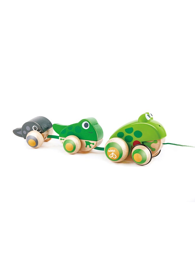 Wooden Frog Themed Push And Pull-Along Toy