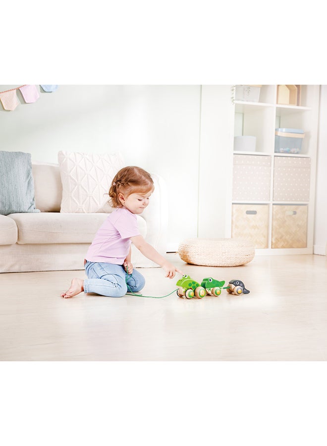 Wooden Frog Themed Push And Pull-Along Toy