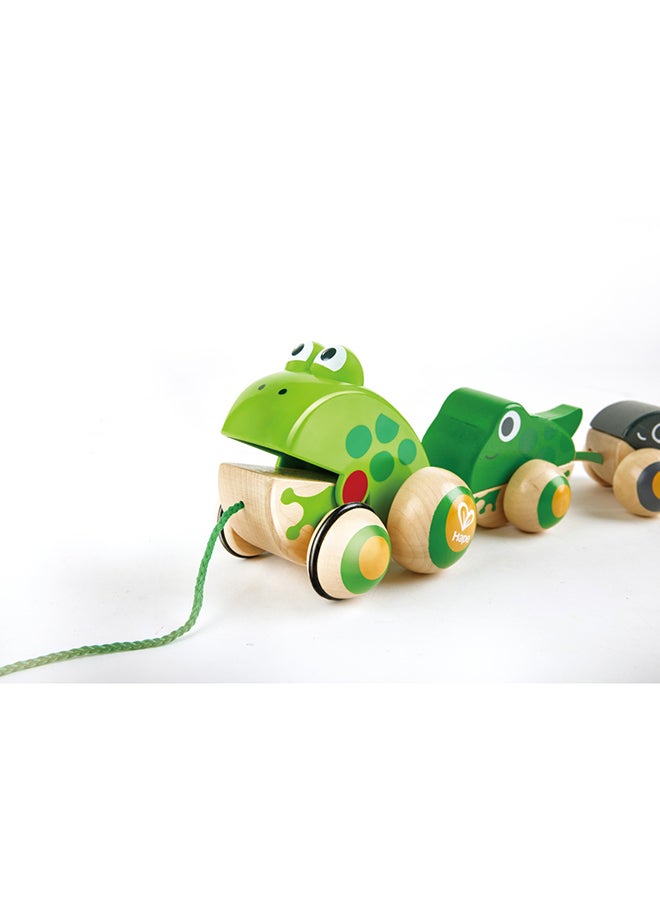 Wooden Frog Themed Push And Pull-Along Toy