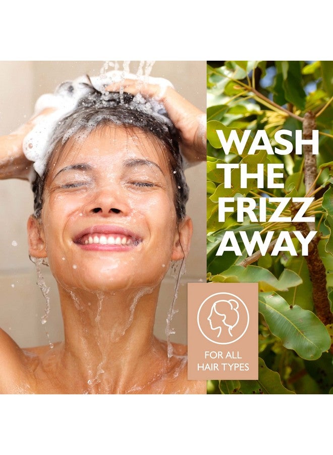 Damage Repair Light Shampoo (500Ml/16.9Oz) For Thin And Dry Hair With Pure African Shea Butter Hair Shampoo For Dry Frizzy And Damaged Hair Excellent Rinse Out Moisturizing