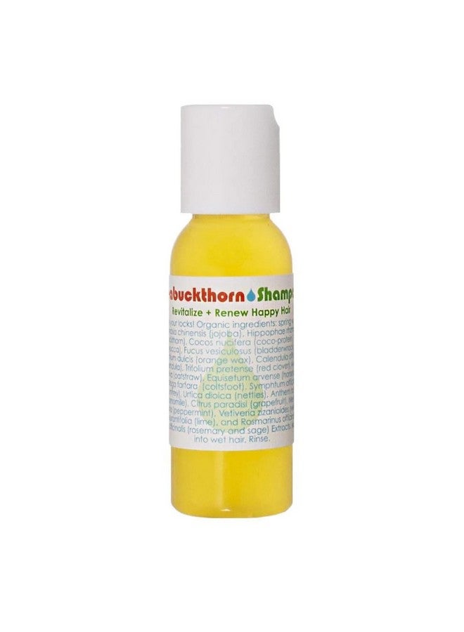 Organic Seabuckthorn Shampoo ; Natural Wildcrafted Clean Beauty (1 Fl Oz ; 30 Ml)