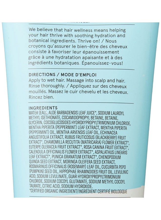 Vivacious Volume Shampoo Echinacea 100% Vegan White/Blue Mint 8 Fl Oz