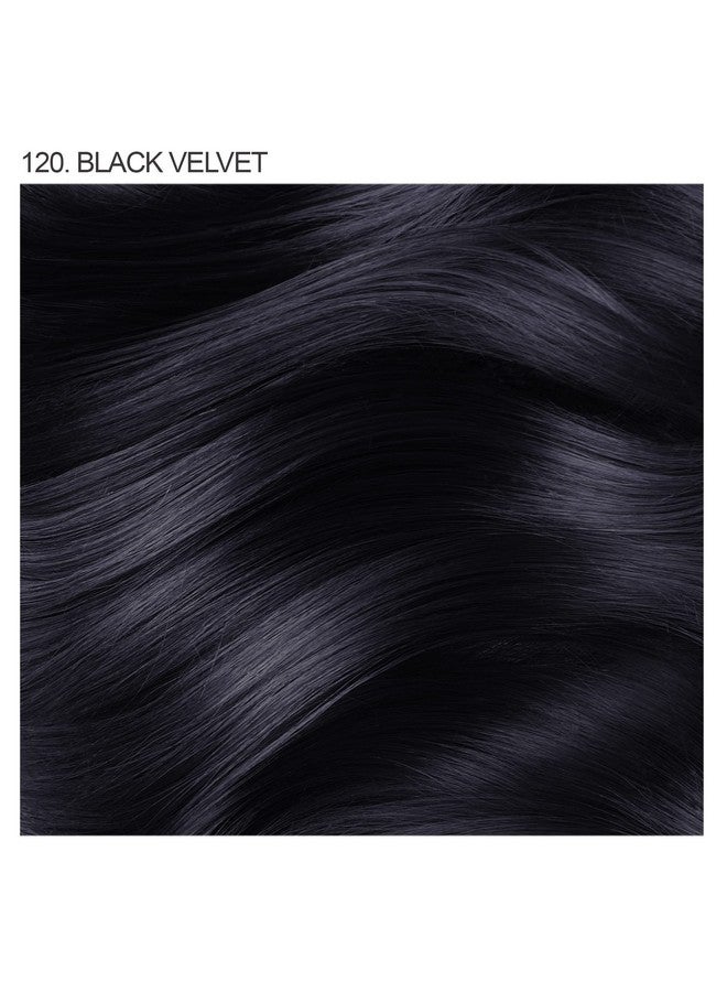 Semi Permanent Hair Color Vegan And Crueltyfree Hair Dye 4 Fl Oz 120 Black Velvet (Pack Of 2)