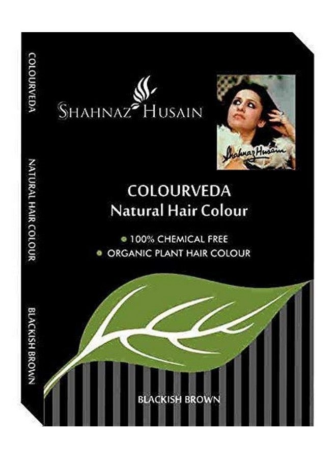Colourveda Herbal Ayurvedic Natural Hair Color Latest International Packaging (3.5 Oz / 100 G)