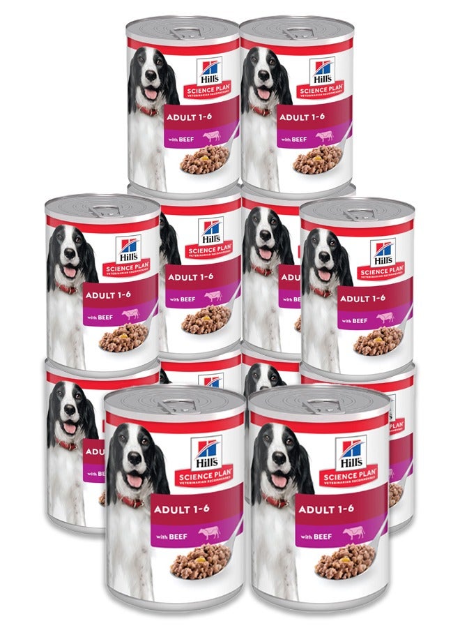 Adult Dog Food With Beef - 12x370g