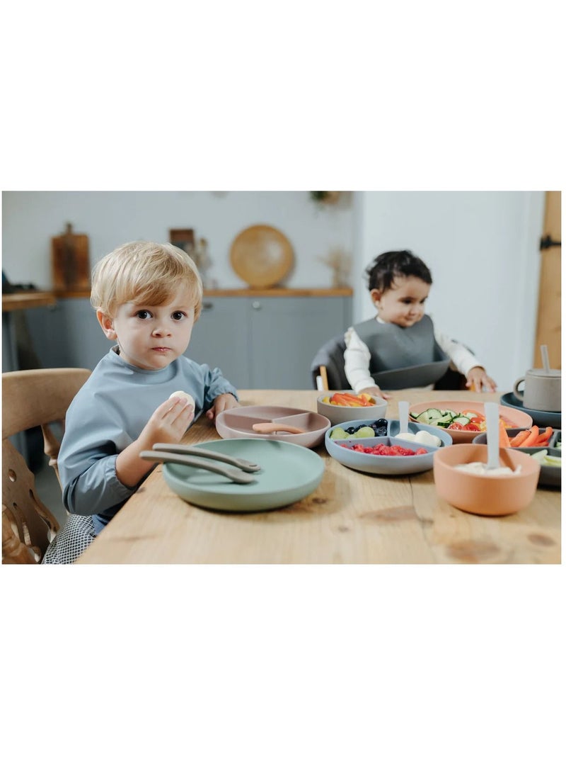 Pippeta Silicone Suction Plate For Infant - Ash Rose