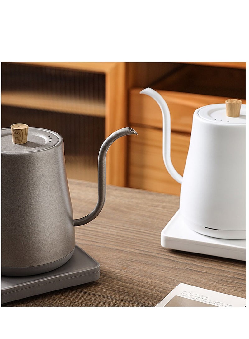 Electric Kettle, Gooseneck Electric Kettle, 0.8L Fast Boiling Hot Water Kettle, Stainless Steel Electric Tea Kettle, Pour Over Kettle for Coffee&Tea, Leak-Proof, Auto Shutoff, Anti-dry