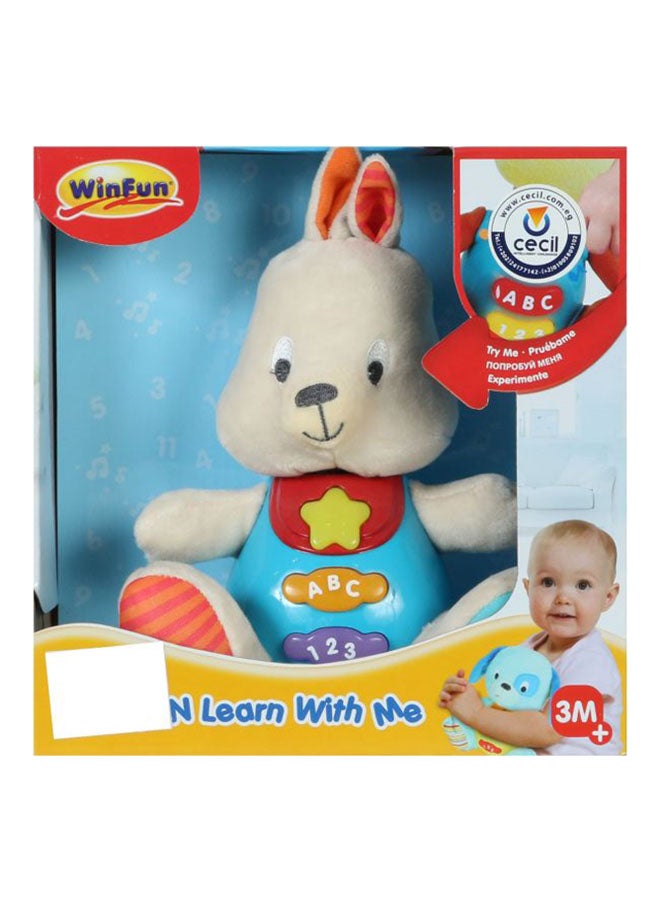 Fun Bouncy Bunny Sing And Learn With Me