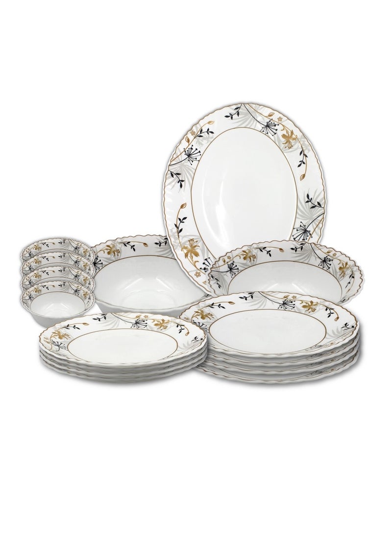 Danny home 12 pcs Opalware Dinnerware set Dishwasher Microwave Freezer Safe, BPA-Free Break Scratch Heat Resistant Dinner Soup Dessert Serving Plates, Medium & Large Bowls