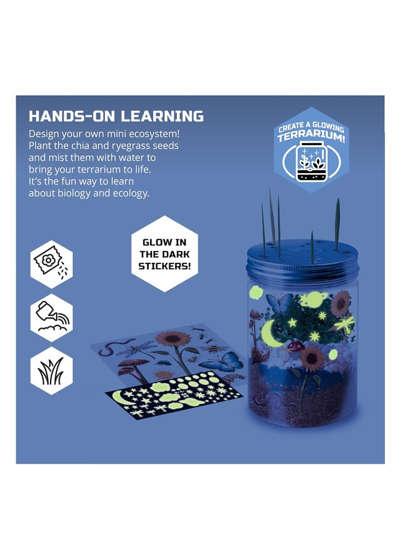 MINDBLOWN DIY Terrarium Grow Kit Fast Growing Indoor Mini Garden