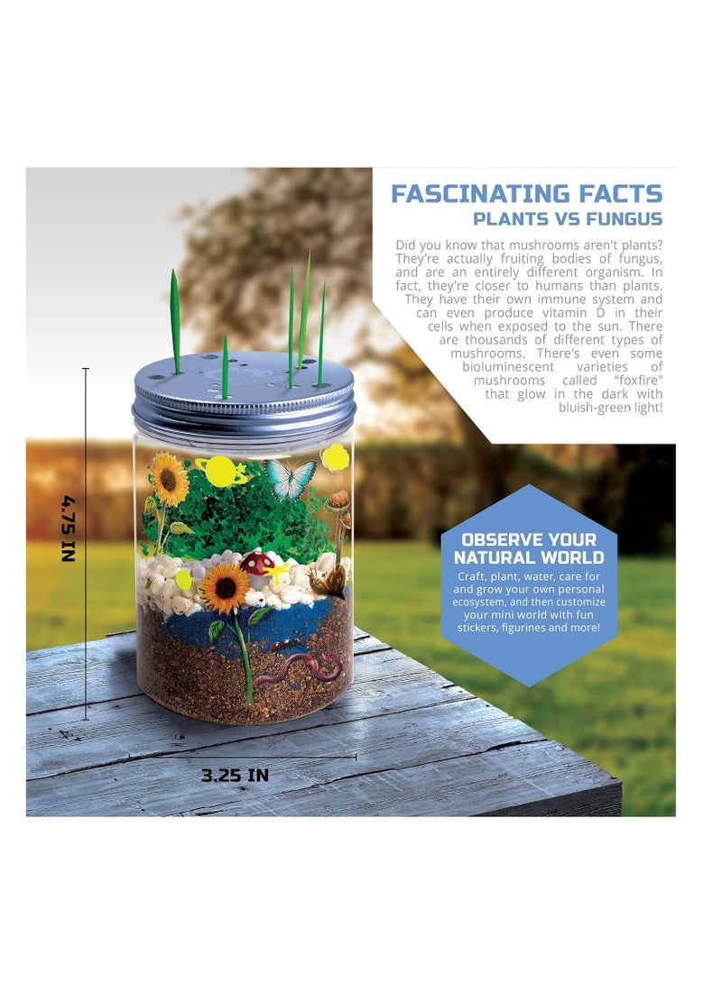 MINDBLOWN DIY Terrarium Grow Kit Fast Growing Indoor Mini Garden