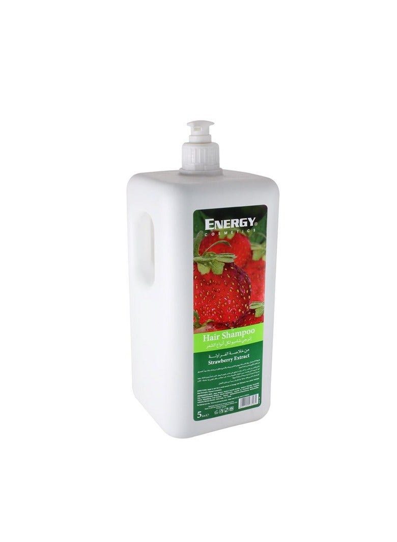 Energy Cosmetics Hair Shampoo Strawberry Extract 5 L