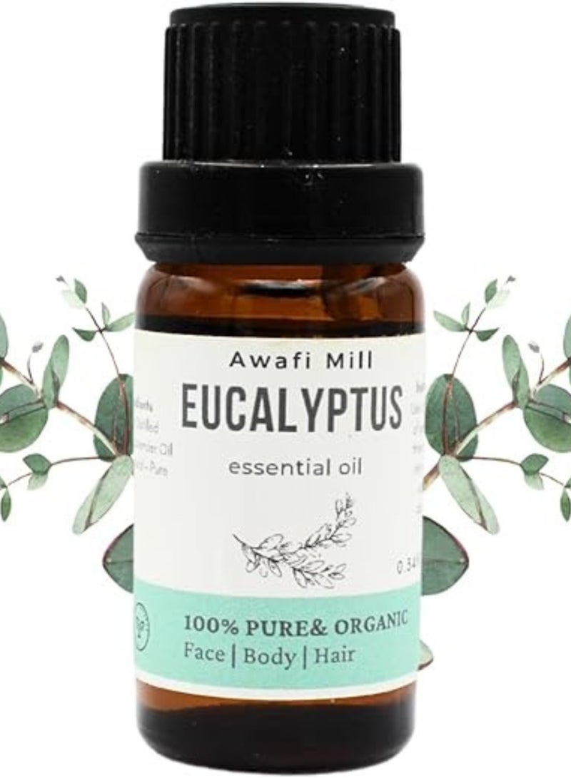 Organic Eucalyptus Essential Oil | (10 Ml) | Made in Turkey | Pure & Natural Premium