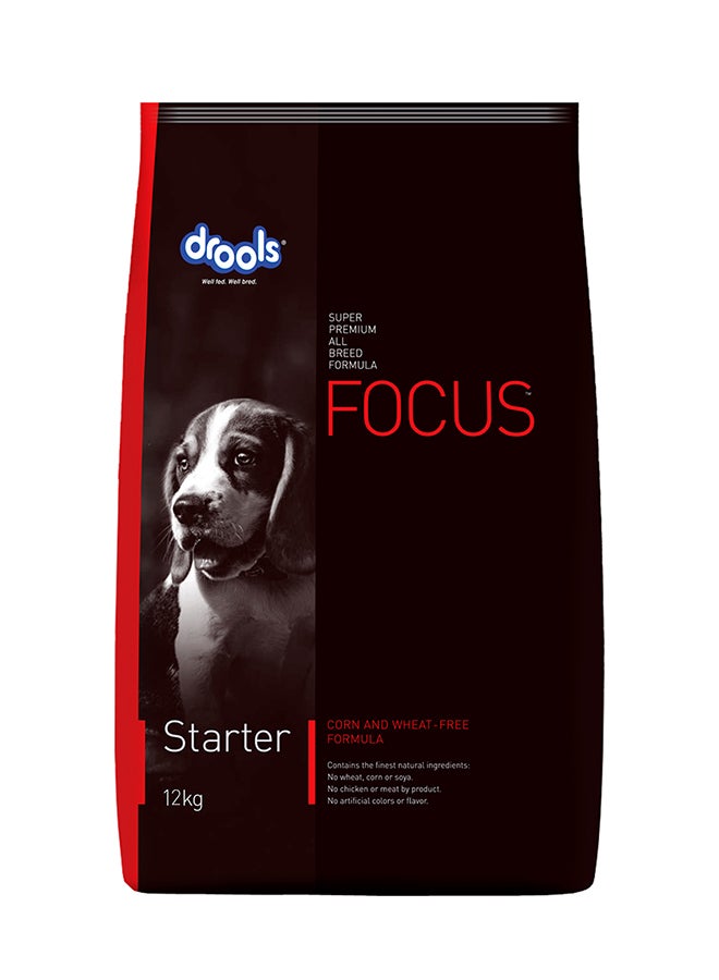 Focus Starter Super Premium Dry Dog Food Multicolour 12kg