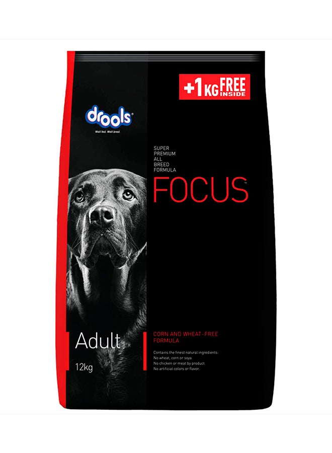 Focus Adult Super Premium Dry Dog Food Multicolour 13kg