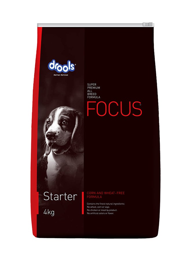 Focus Starter Super Premium Dry Dog Food Multicolour 4kg