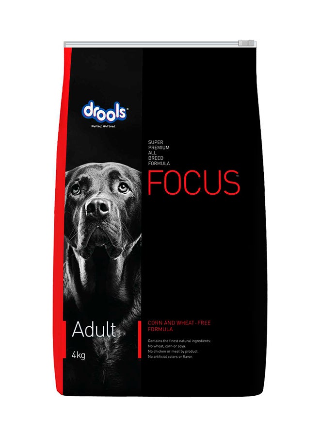 Focus Adult Super Premium Dry Dog Food Multicolour 4kg