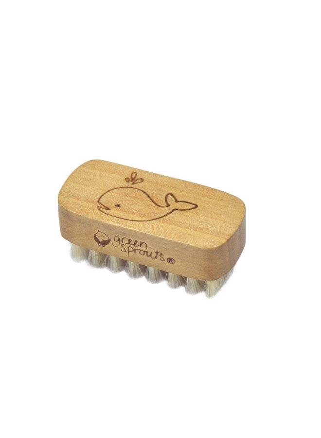 Baby Nail Brush Gently Cleans Baby’S Nails Soft Natural Bristles For Comfort Easy To Grasp Wood Handle Made From Natural Nonpetroleum Materials