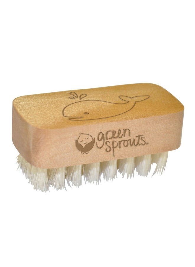 Baby Nail Brush Gently Cleans Baby’S Nails Soft Natural Bristles For Comfort Easy To Grasp Wood Handle Made From Natural Nonpetroleum Materials