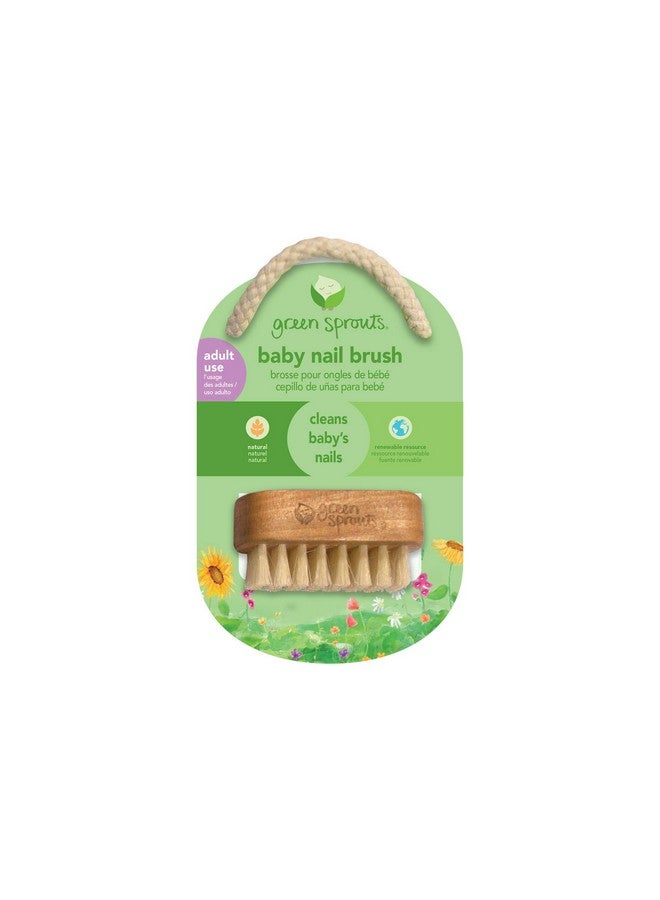 Baby Nail Brush Gently Cleans Baby’S Nails Soft Natural Bristles For Comfort Easy To Grasp Wood Handle Made From Natural Nonpetroleum Materials
