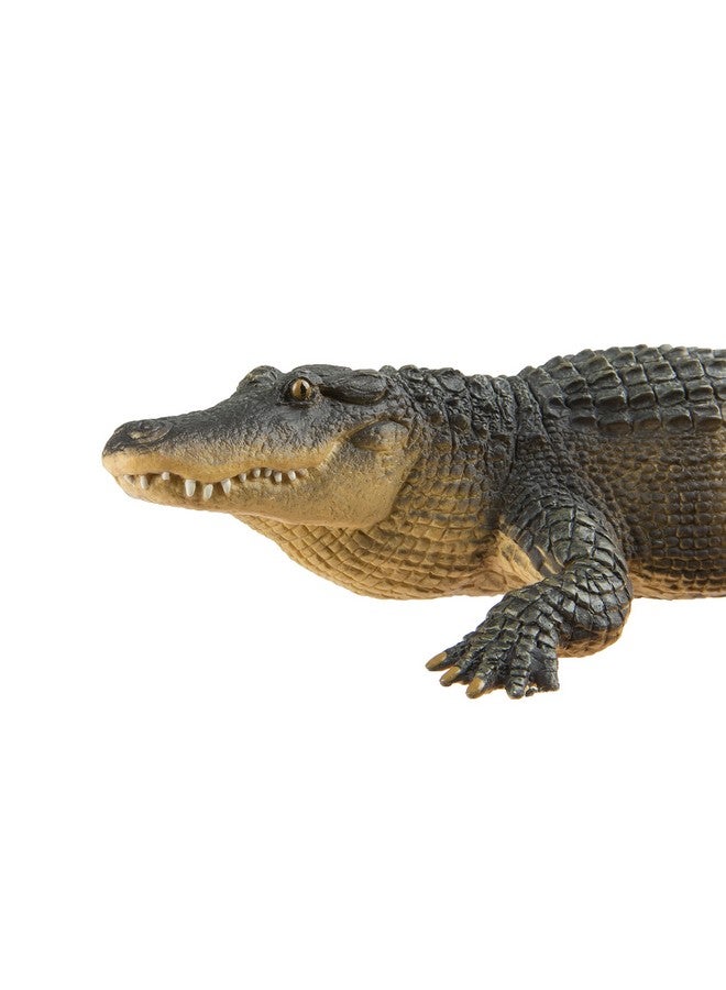 ; Alligator ; Wild Wildlife Collection ; Toy Figurines For Boys & Girls