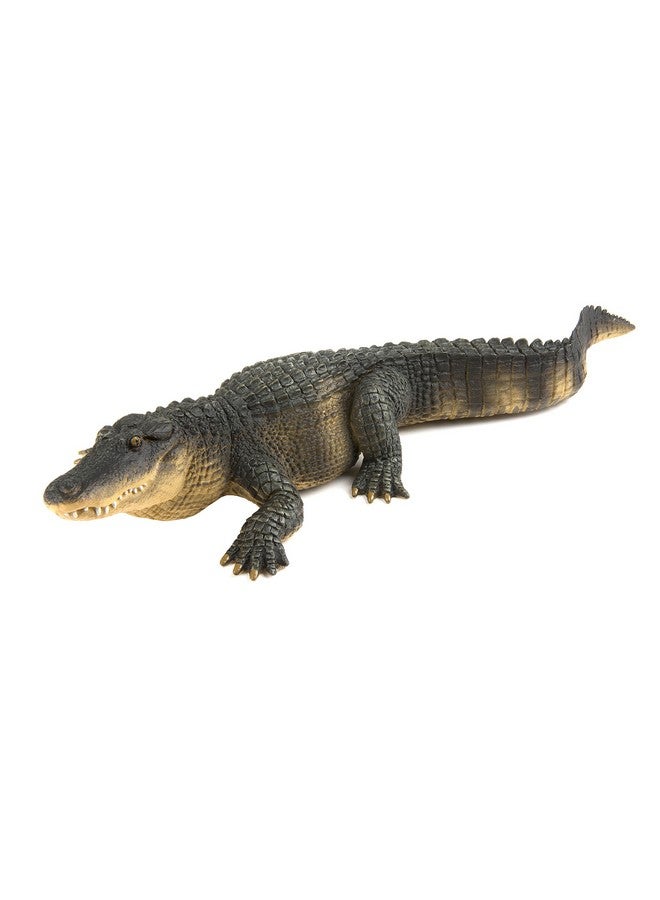 ; Alligator ; Wild Wildlife Collection ; Toy Figurines For Boys & Girls