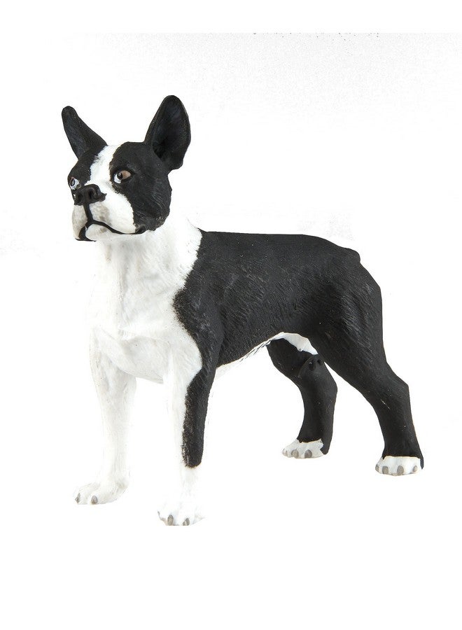 ; Boston Terrier ; Best In Show Collection ; Toy Figurine For Boys & Girls