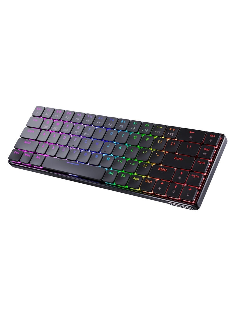 G29 Professional 69 Keys Mini Wired Mechanical Gaming Keyboard Type-C port RGB Keyboard