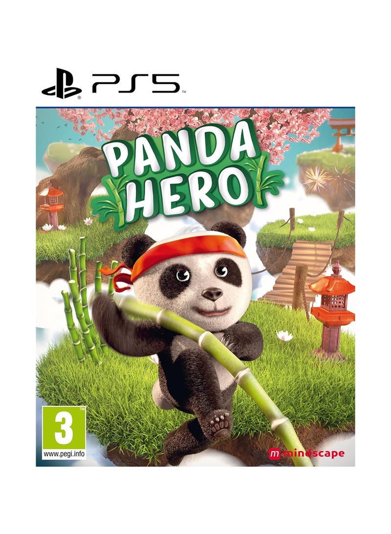 Pand Hero: Remastered - PlayStation 5 (PS5)