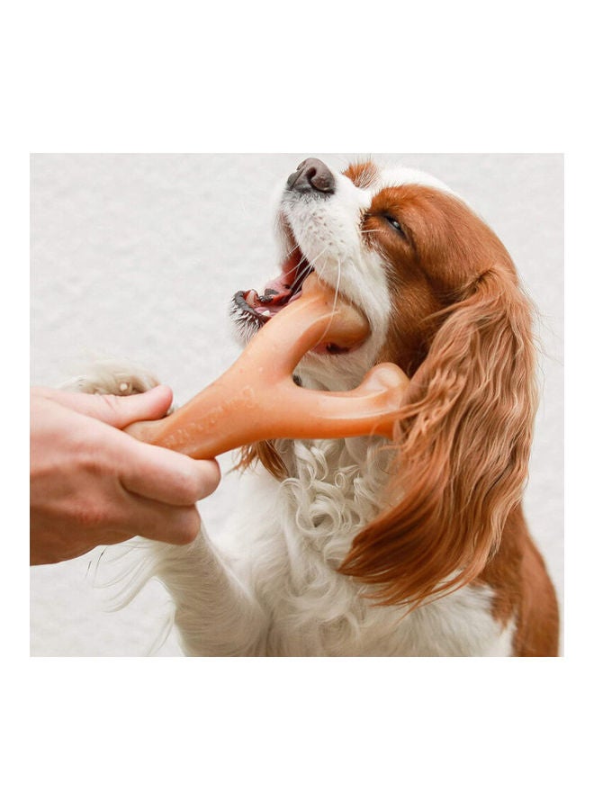 Dog Chew Toy Chicken Large Brown