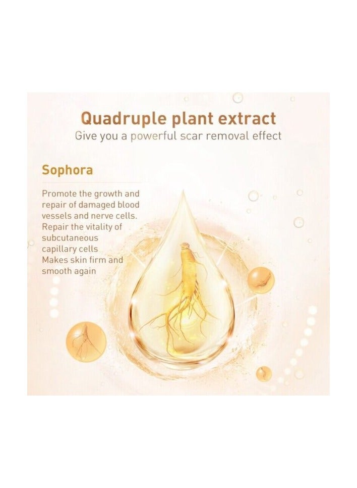 Lanbena TCM Scar and Acne Mark Removal Gel Ointment 30G 2 Pack