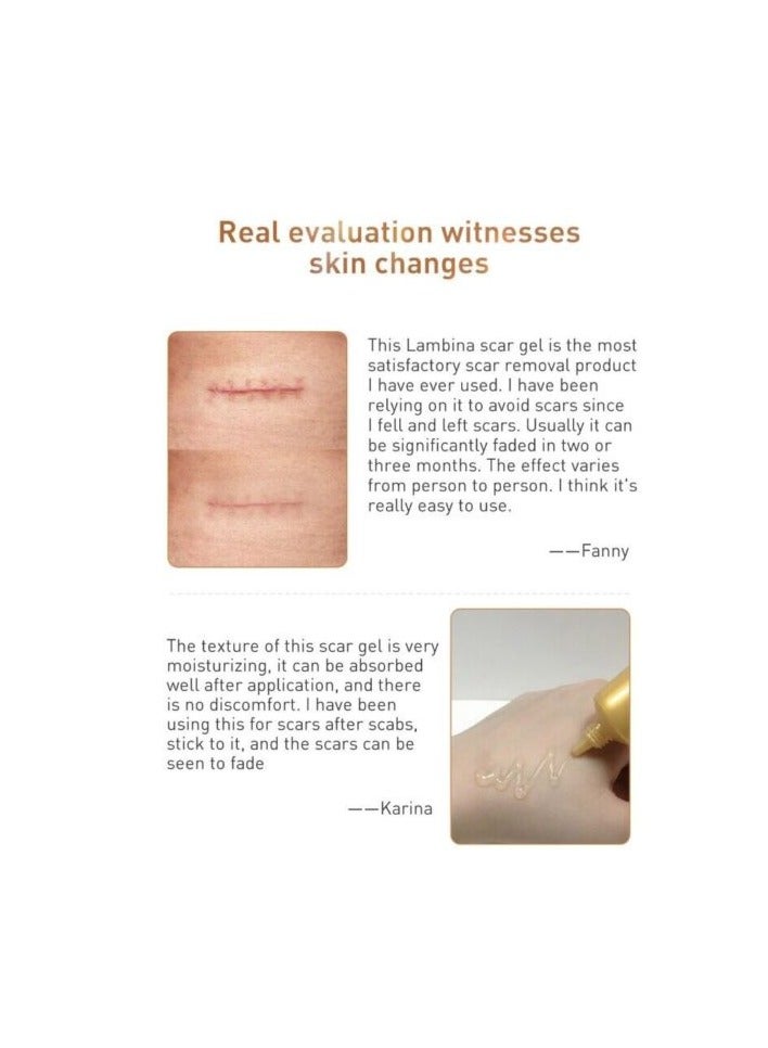 Lanbena TCM Scar and Acne Mark Removal Gel Ointment 30G 2 Pack