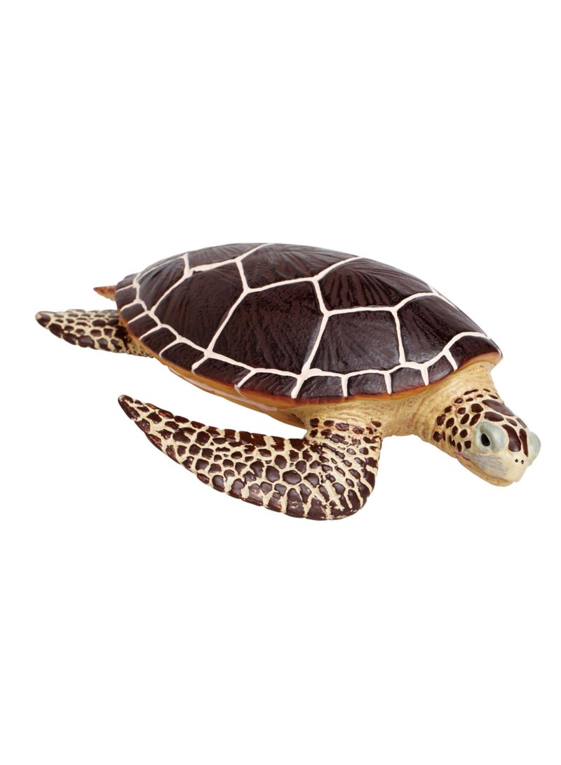 Sea Turtle Figure 21X6.5 Cm