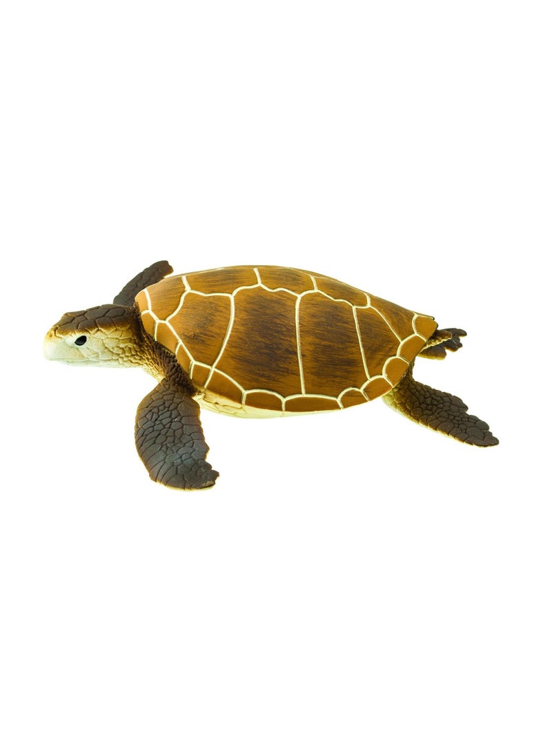 Green Sea Turtle 4 Inch