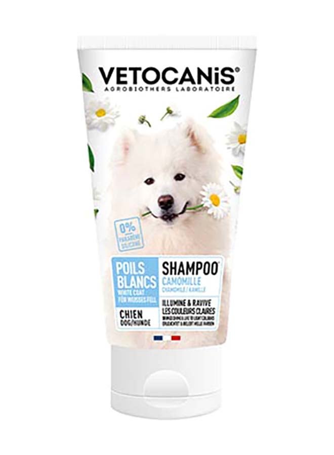 Light Hair Poils Clairs Pet Shampoo Multicolour 300ml