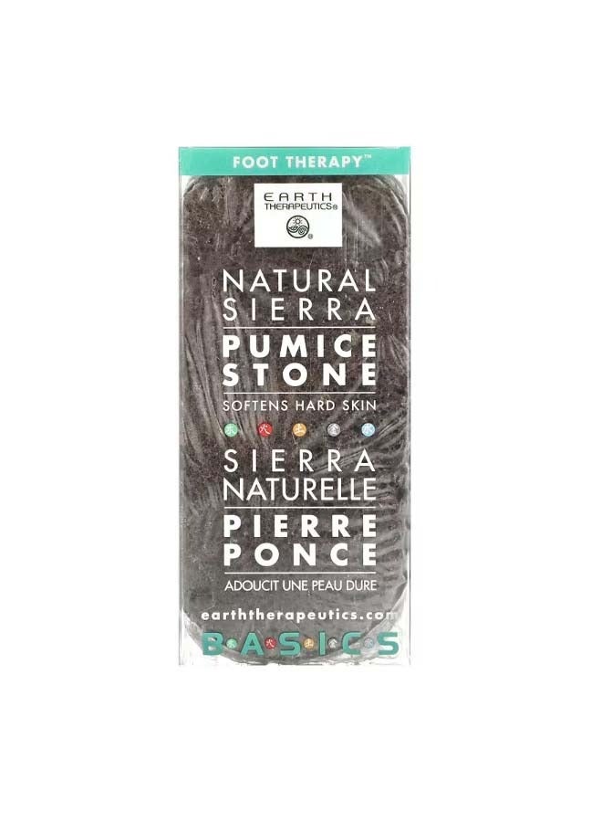 Basics Natural Sierra Pumice Stone 1 Stone