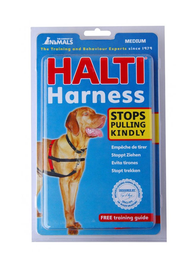 Dog Harness Black/Red Mediuminch
