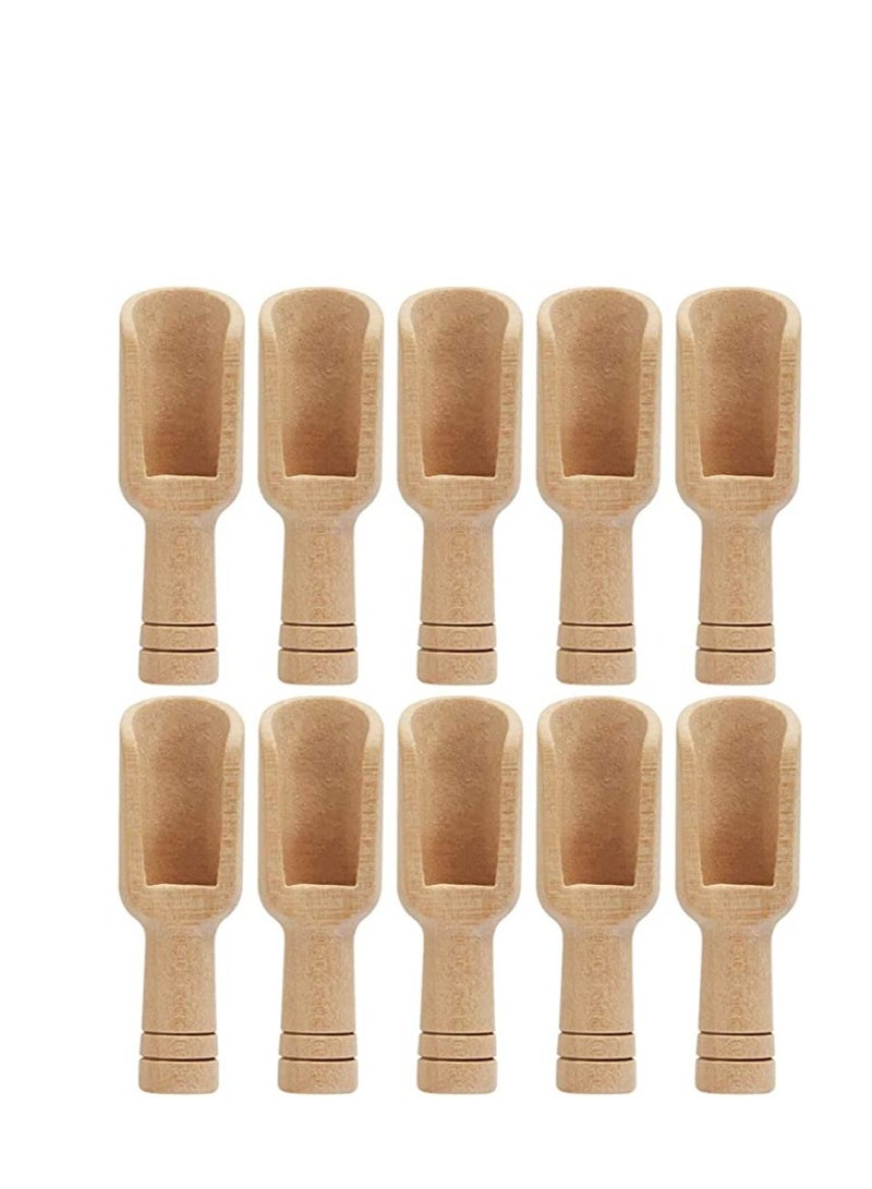 10 pcs Mini Wooden Spoons，Mini Bamboo Spoons for Bath Salts, Tea Scoop, Washing Powder Spoon，Wooden Candy Spoon