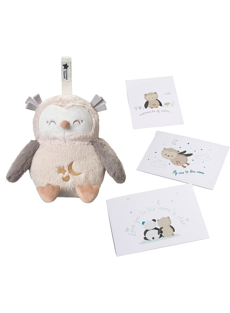 Delux Ollie the Owl Baby Sleep Aid, Beige