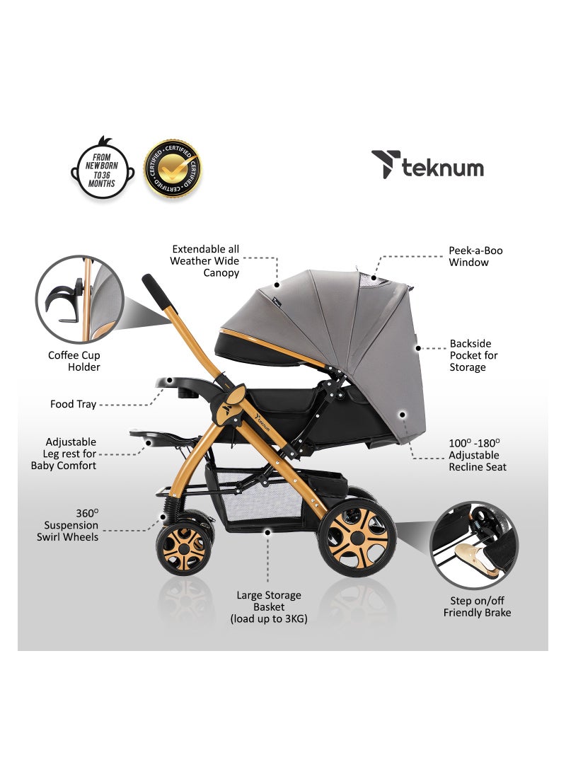 Reversible Trip2 Stroller With Extra-wide Canopy - Grey