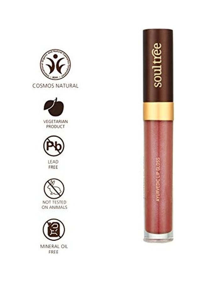 Ayurvedic Lip Gloss Nude Pink