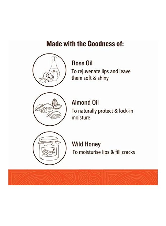 Ayurvedic Lip Gloss Nude Pink