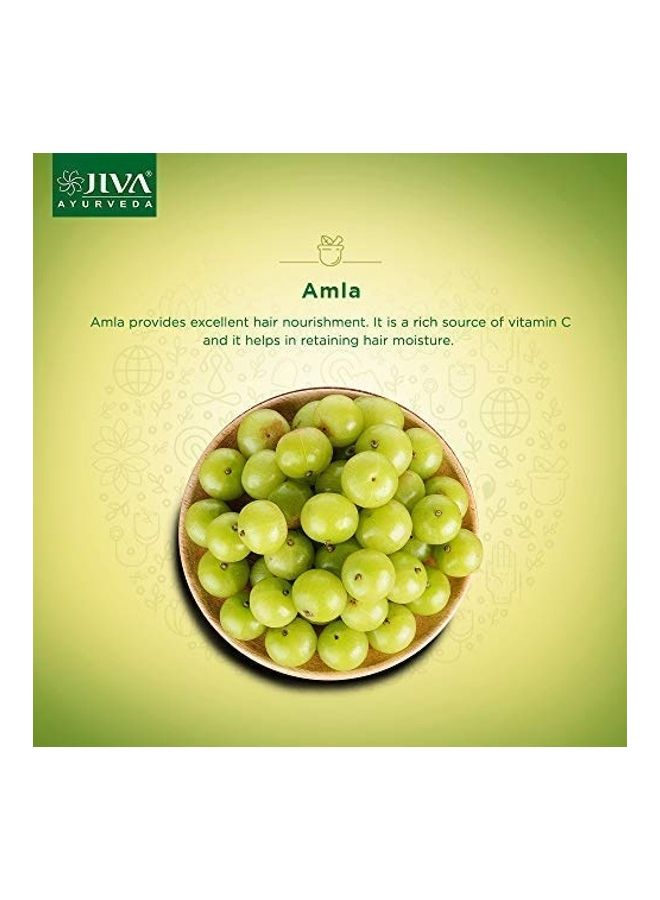 Pack Of 2 Ayurveda Amla Hair Oil Multicolour 240ml