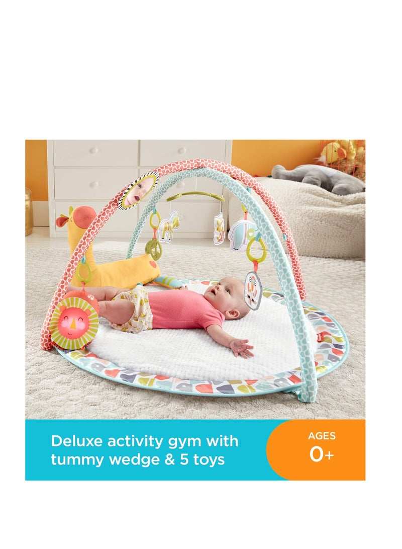 Fisher-Price Go Wild Gym & Giraffe Wedge