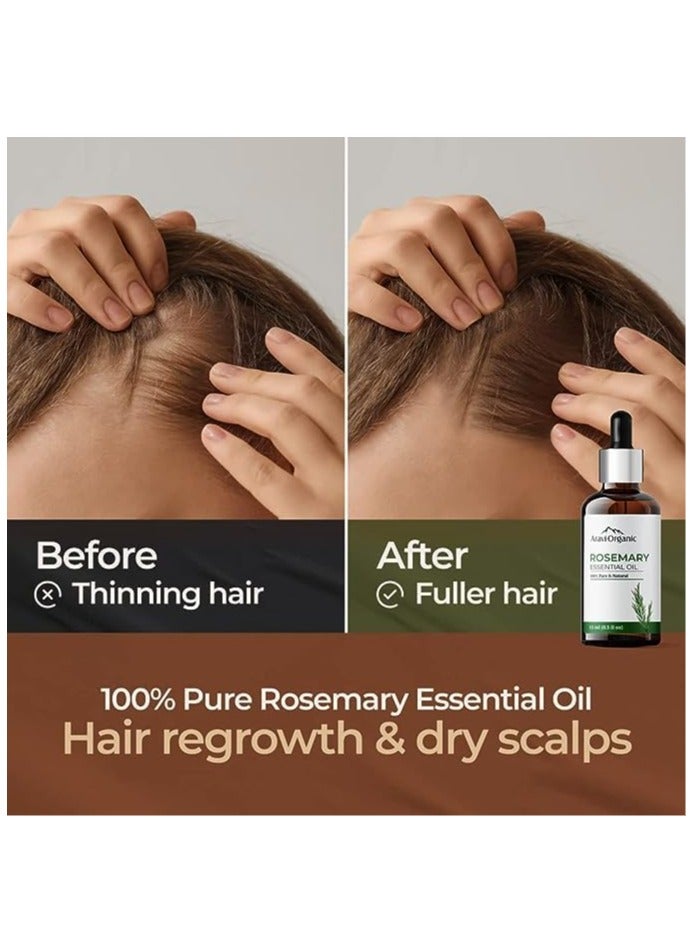 Aravi Organic Pure Rosemary Essential Oil 15ml And Pure Castor Oil 200ml Hair Growth Pack of 2