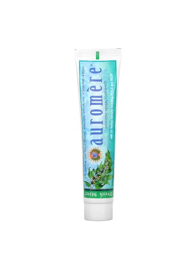 Ayurvedic Herbal Toothpaste Fresh Mint 4.16 oz 117 g