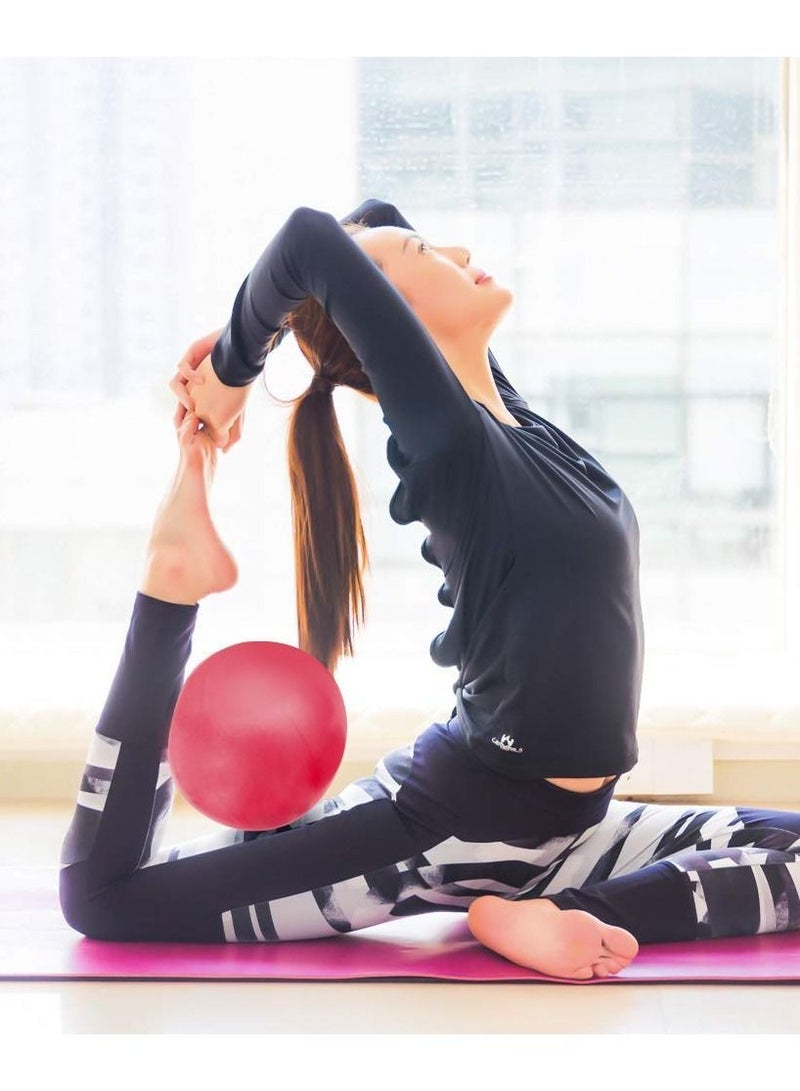 2Pcs Exercise Balls Kit with Hand Pump Mini Fitness Yoga Ball for Pilates Body Balance