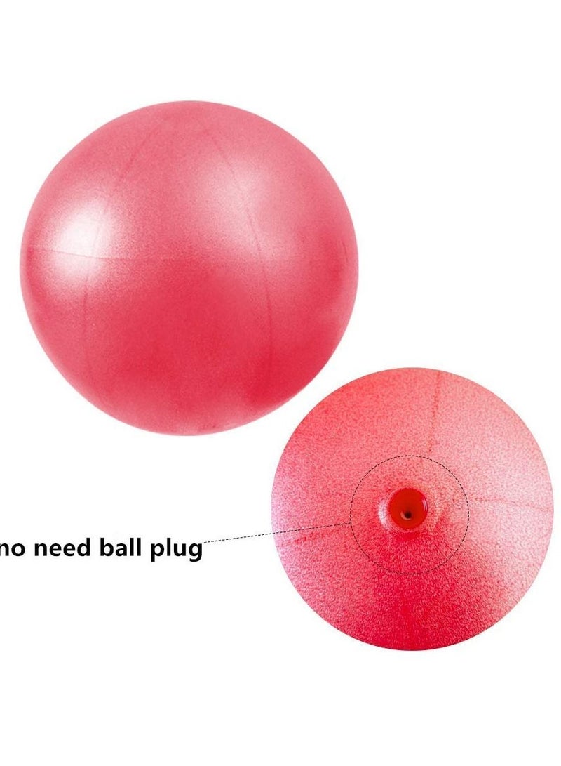 2Pcs Exercise Balls Kit with Hand Pump Mini Fitness Yoga Ball for Pilates Body Balance