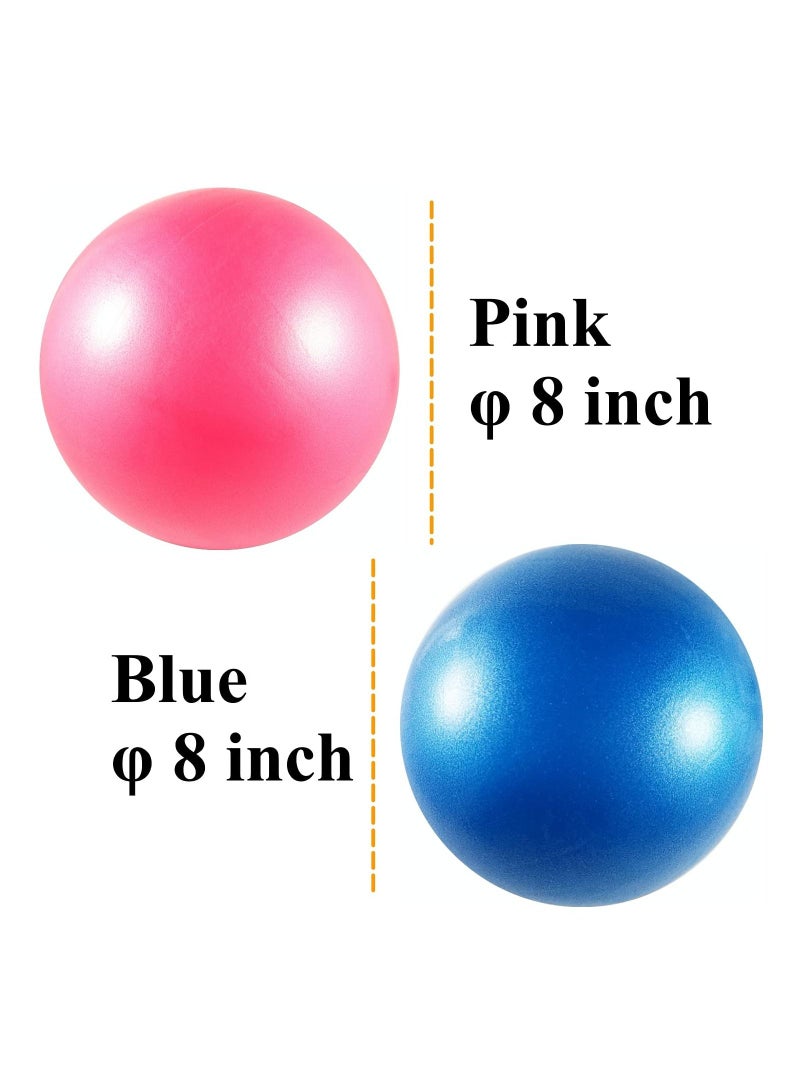 2Pcs Exercise Balls Kit with Hand Pump Mini Fitness Yoga Ball for Pilates Body Balance